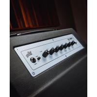 Aguilar TH210 Combo - Vue 5